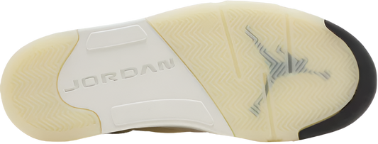 Air Jordan 5 Retro SE 'Sail'